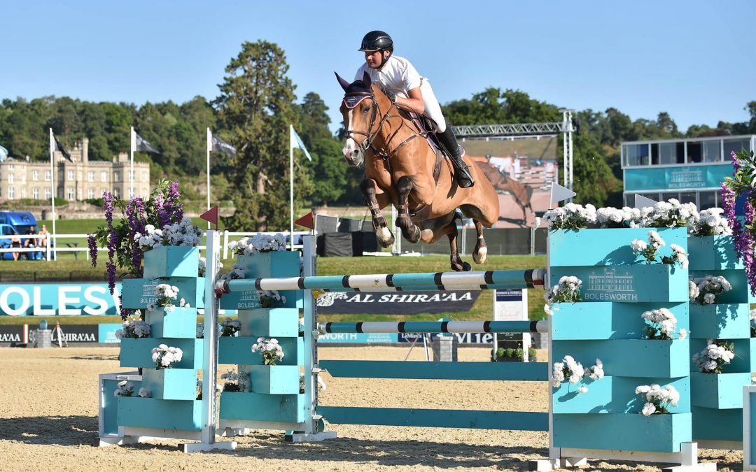 Joplin  8 yr starpower x verdi